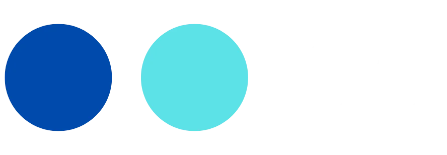 Big 4 & Fortune 500 Experience